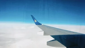 Airplane Wing Travel