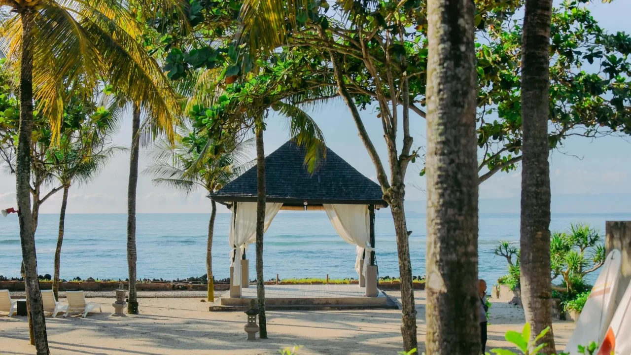 Bali Office Tropical Workplace
