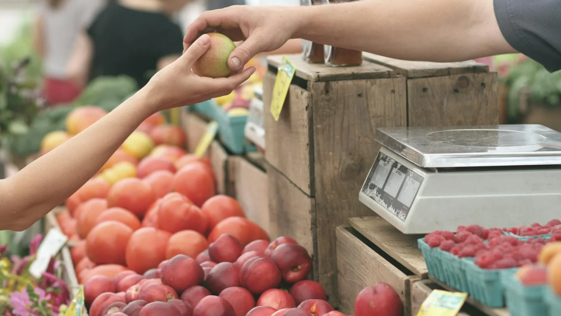 Farmer Local Market