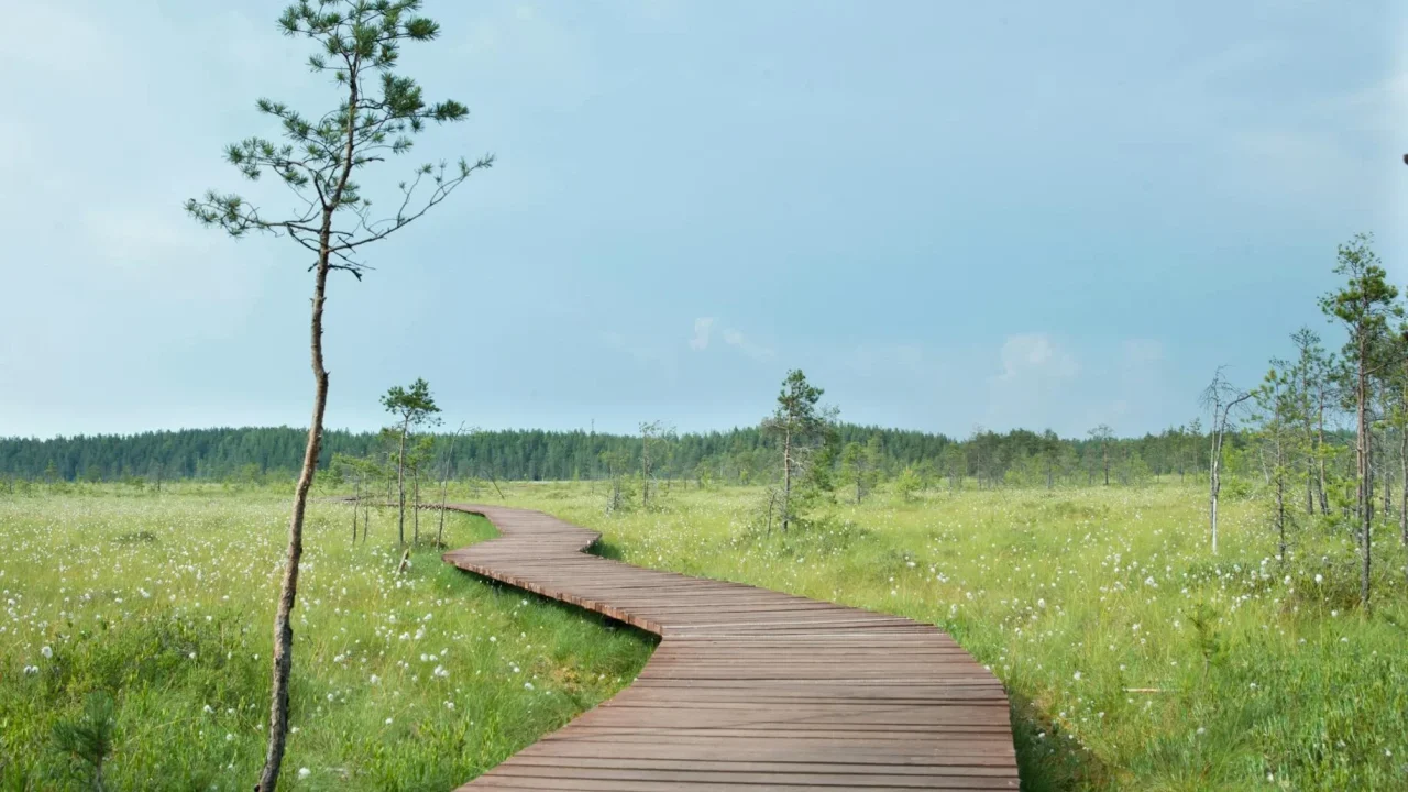 Growth Career Path
