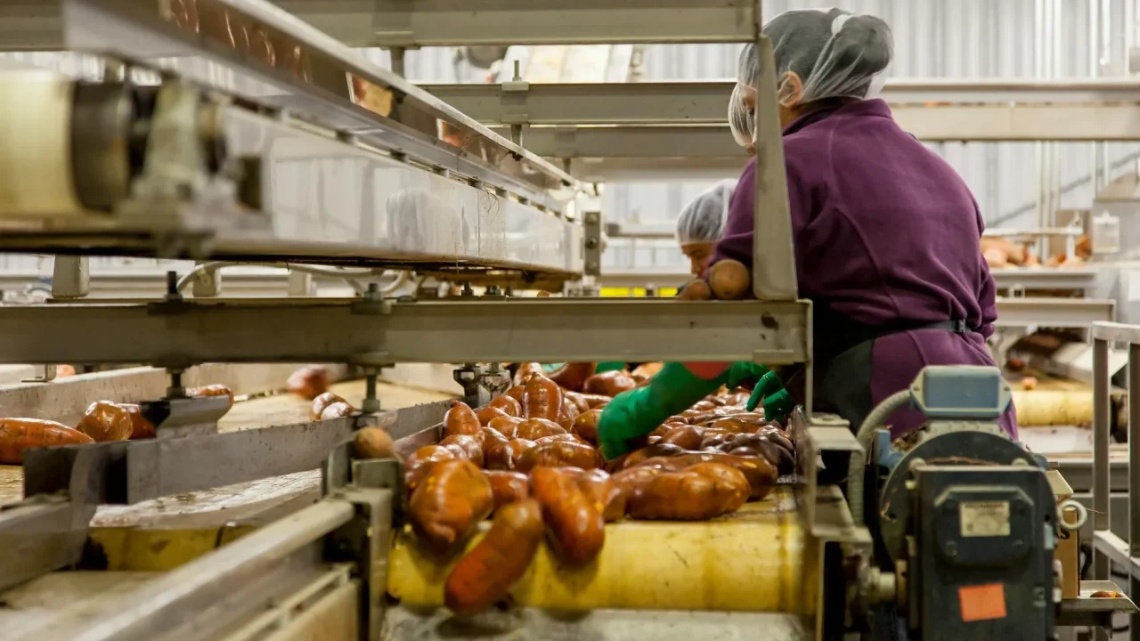 Logistics Food Quality