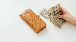 Money Wallet