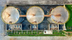 Palm Oil Factory