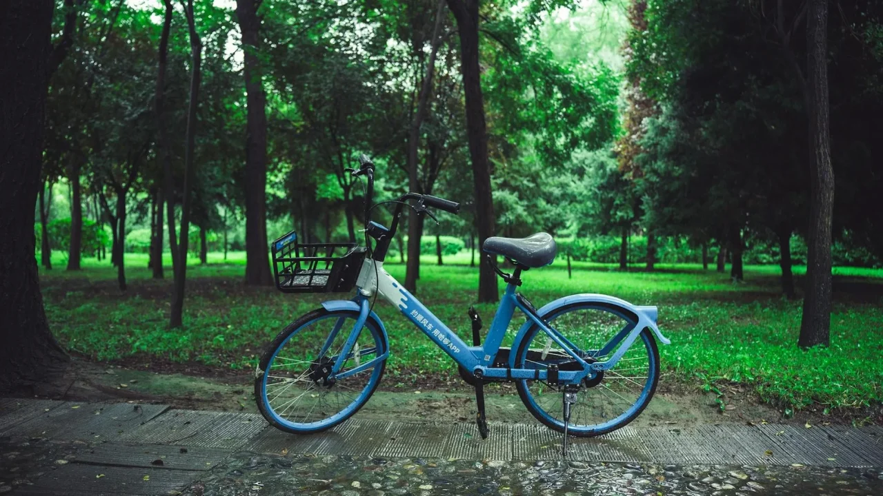 Park Bicycle