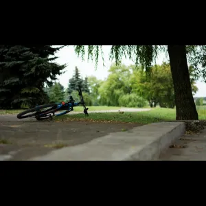 Park Relaxation Bicycle