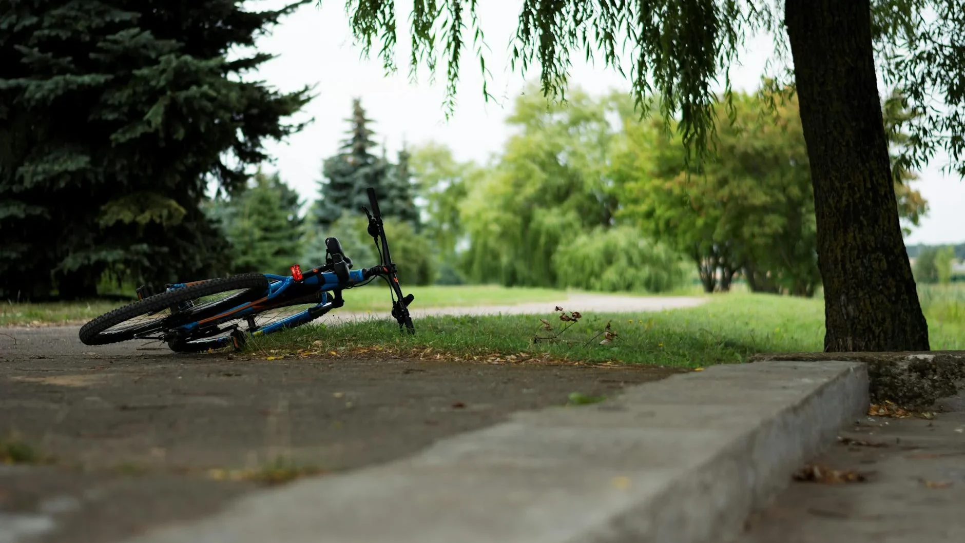 Park Relaxation Bicycle