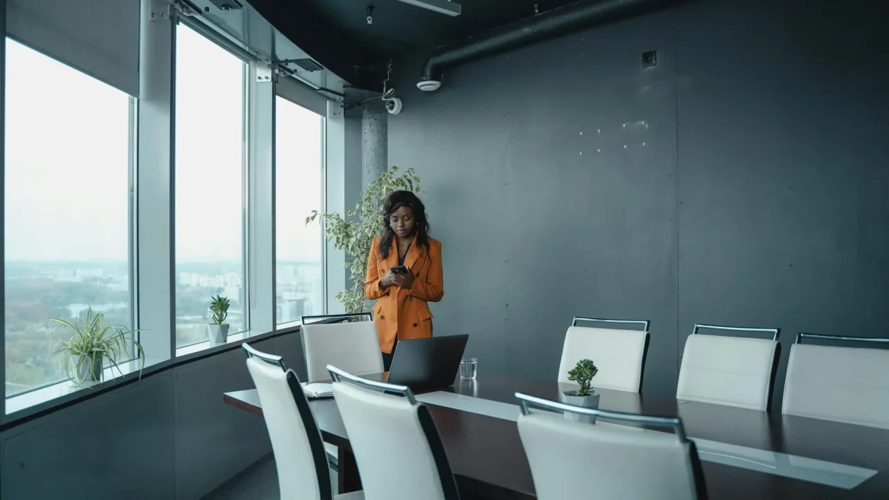 Professional Woman Office Environment