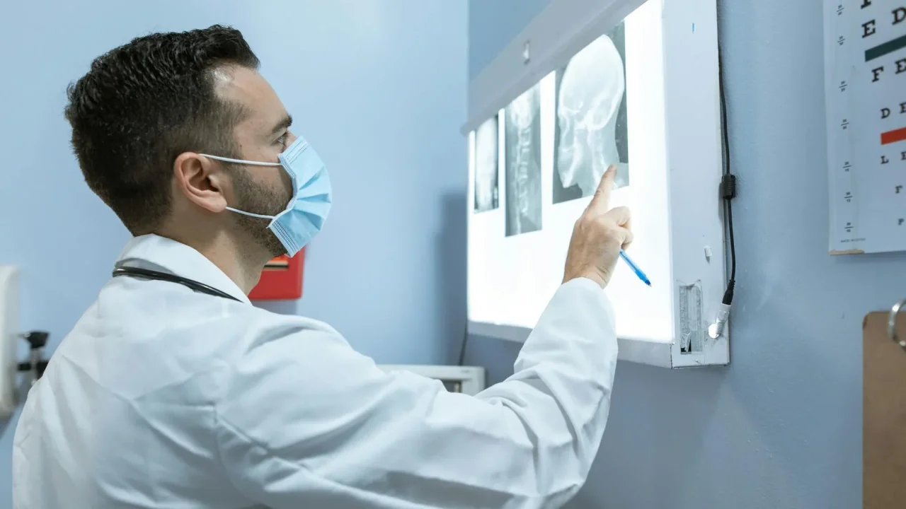 Professional Worker Human Brain
