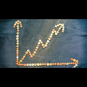 Profit Sharing Chart Growth
