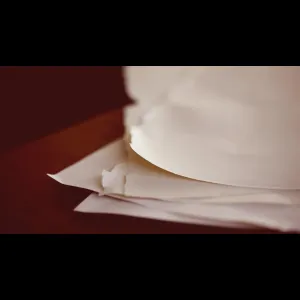 Resume Paper