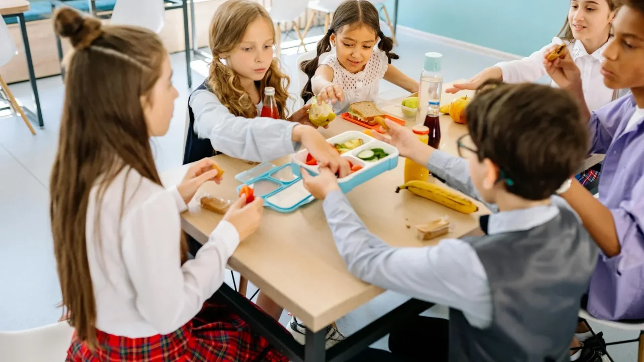 School Lunch Healthy Meal
