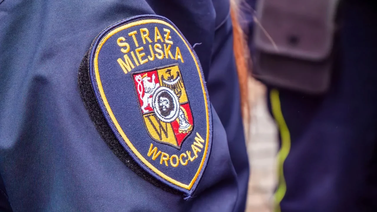 Shield Verified Badge