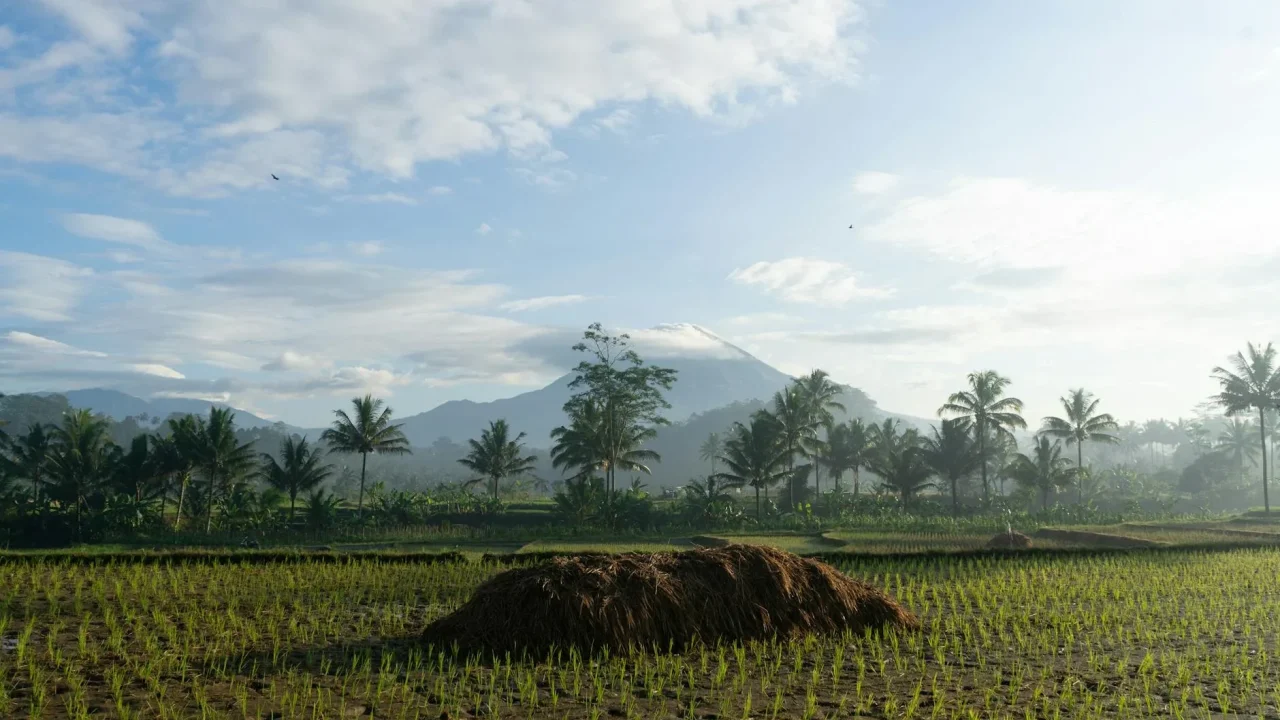 Village Office Central Java