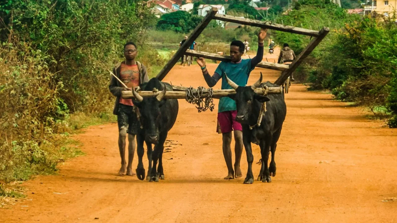 Village Road Teamwork