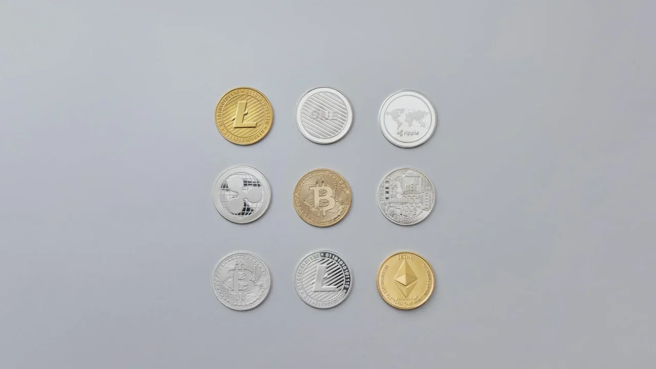 Wallet Coins