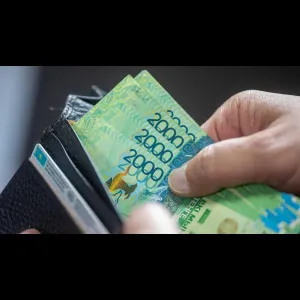 Wallet Money