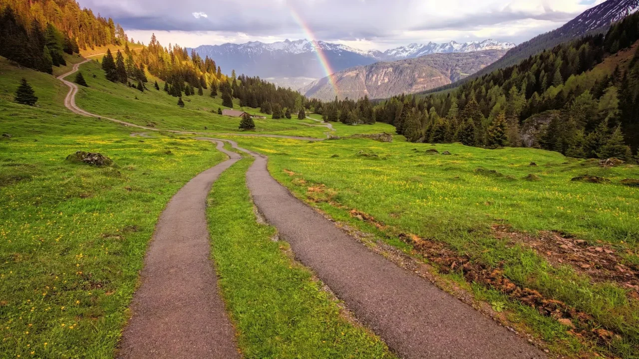 Choice Career Path