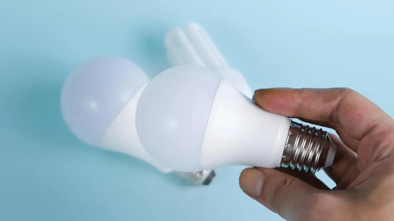 Choosing Path Light Bulb
