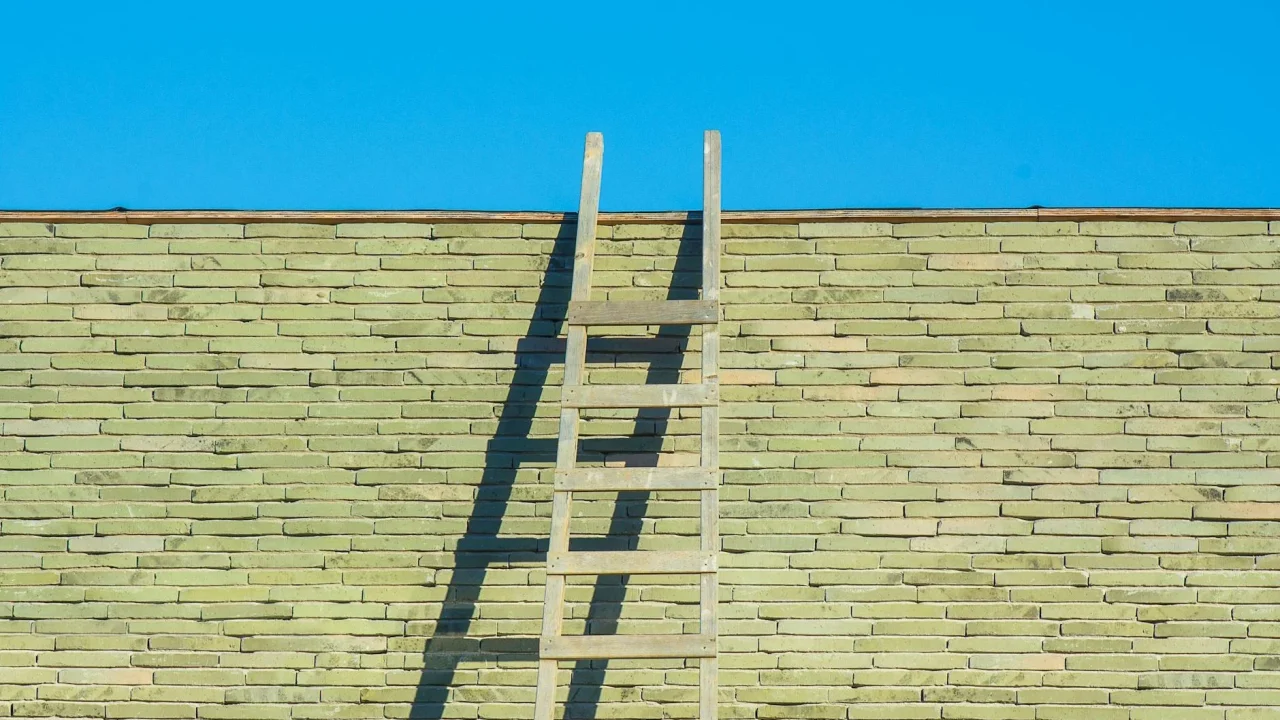 Ladder Business Growth