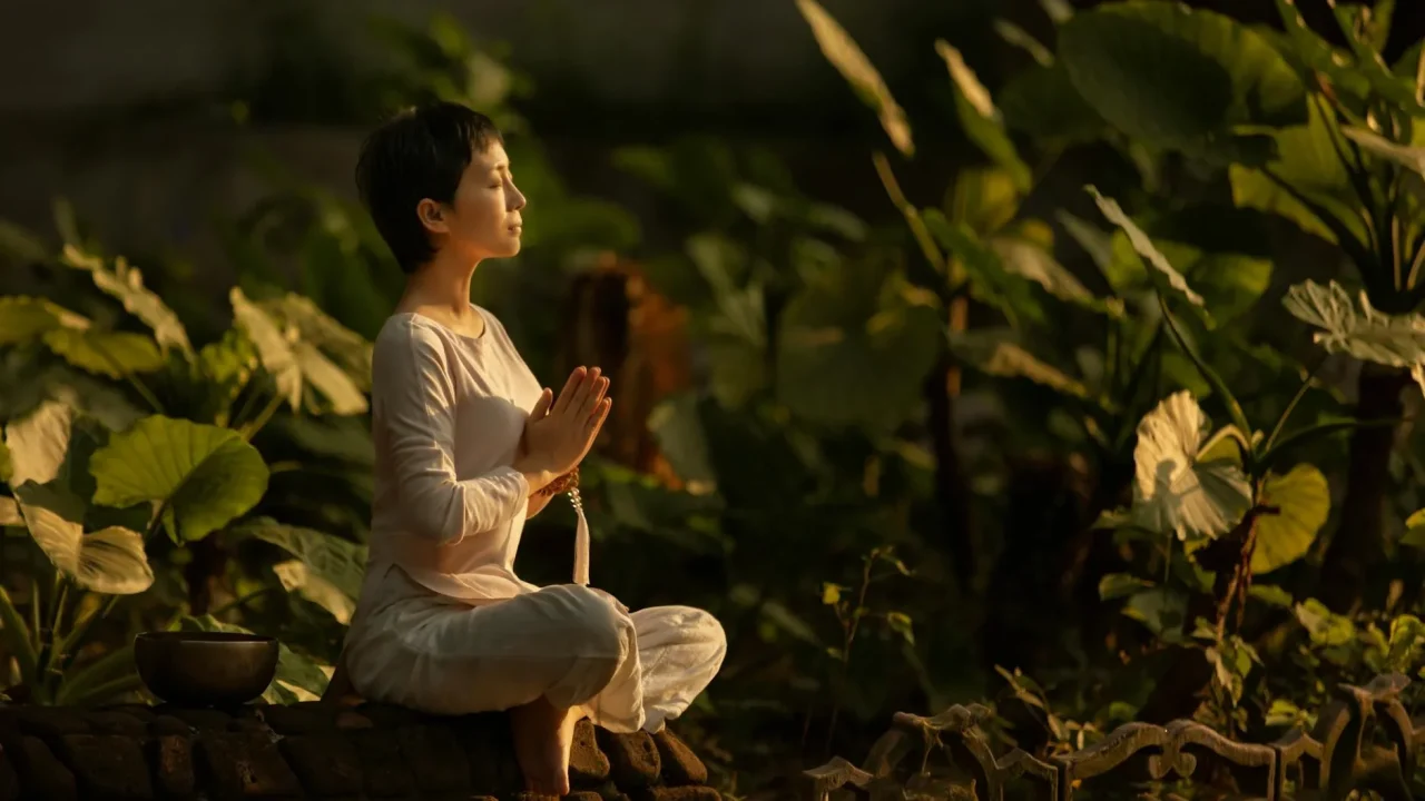 Meditation Nature