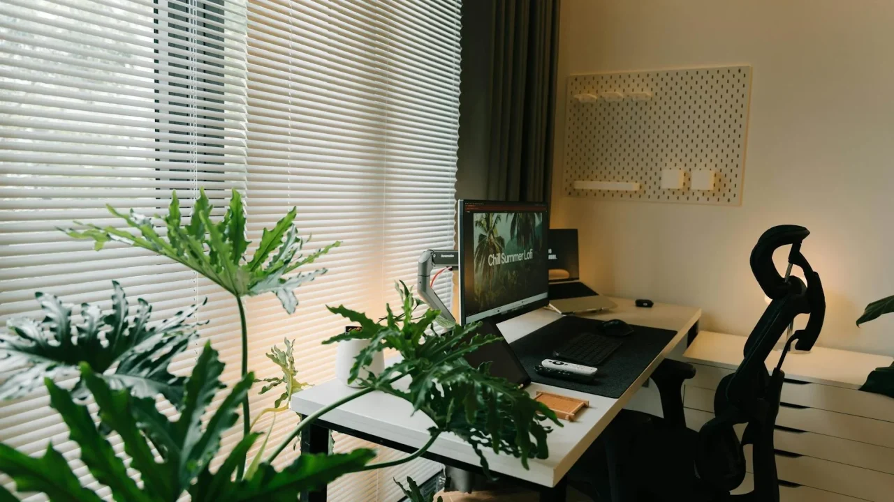 Meditation Office Plant
