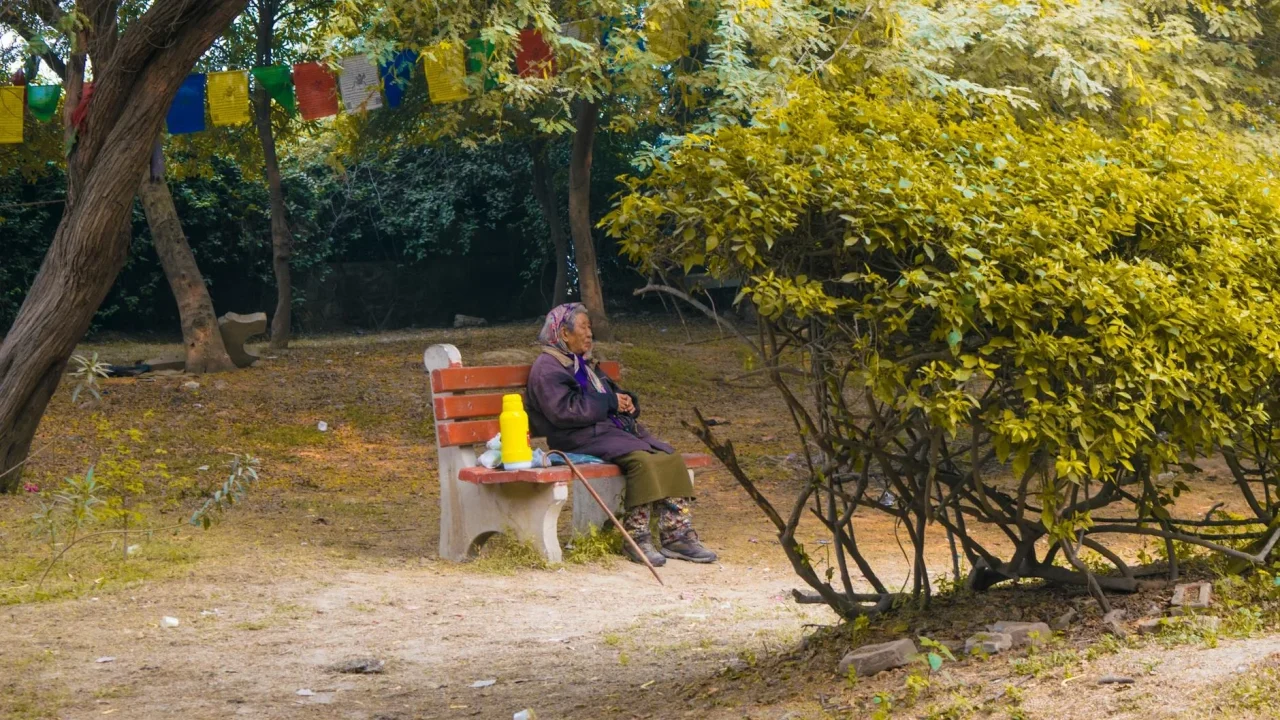 Meditation Park Bench