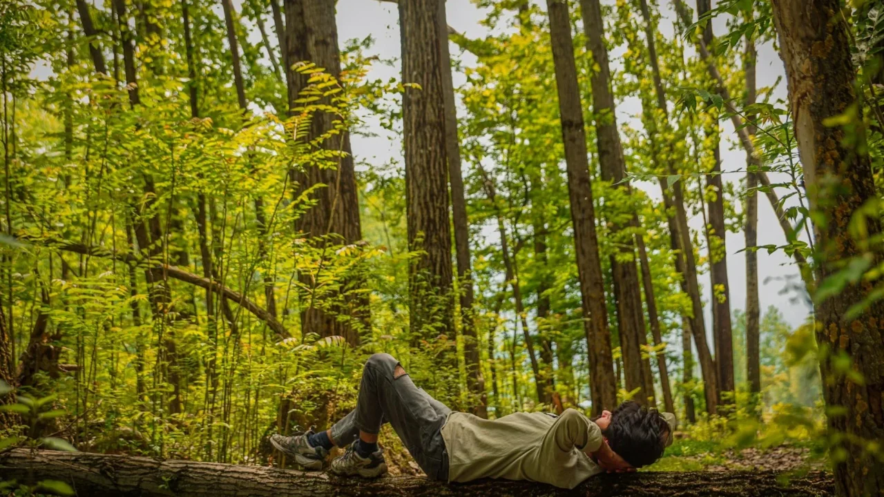 Nature Relaxation