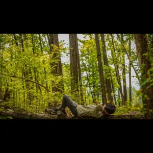 Nature Relaxation