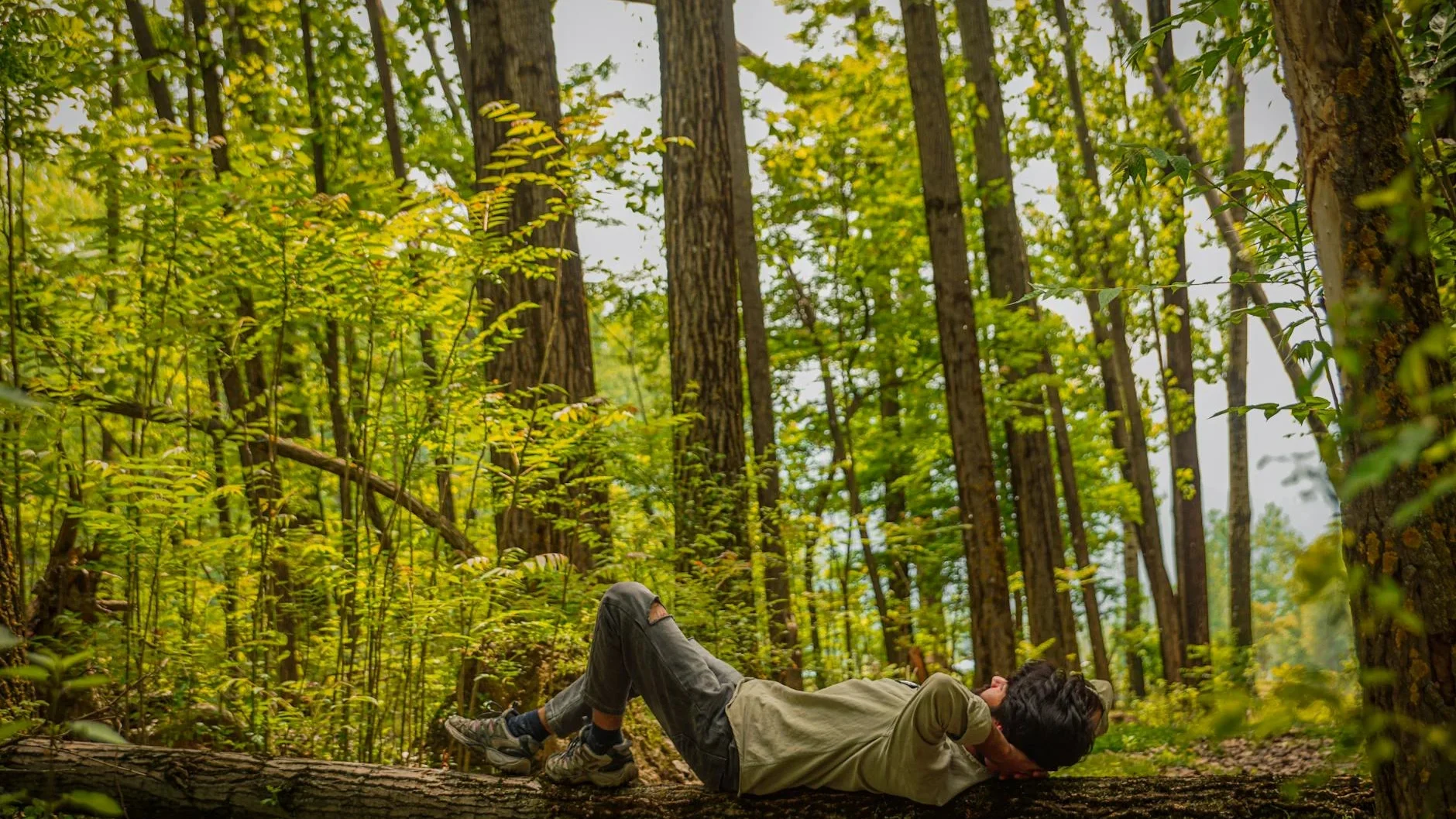 Nature Relaxation