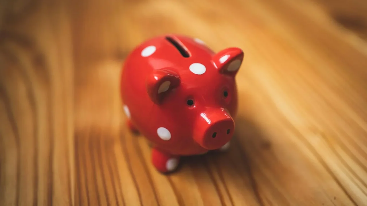 Piggy Bank Financial Safety Shield