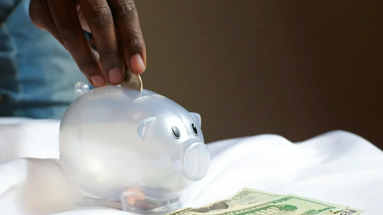 Piggy Bank Wallet