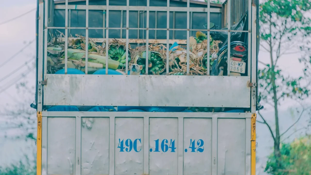 Delivery Truck Vegetable Farm