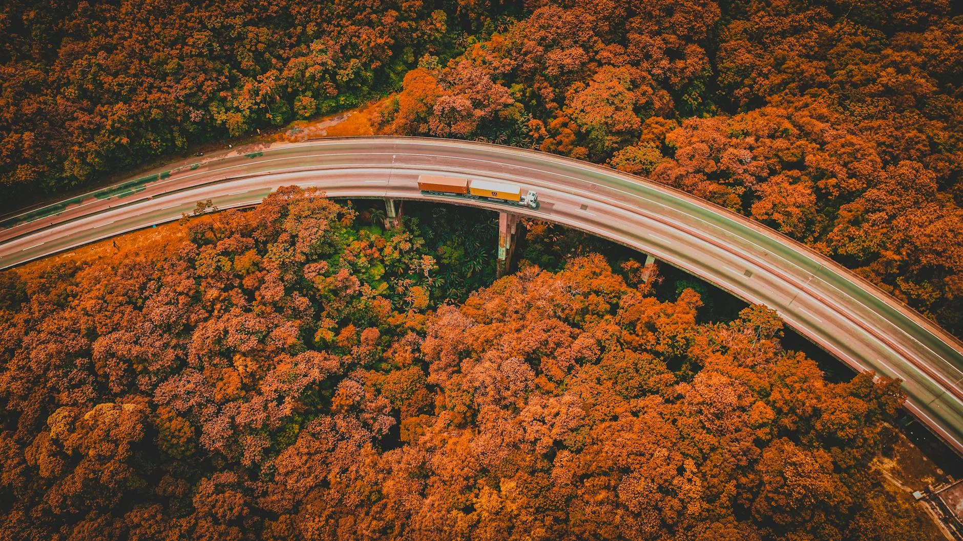 Forest Road Truck