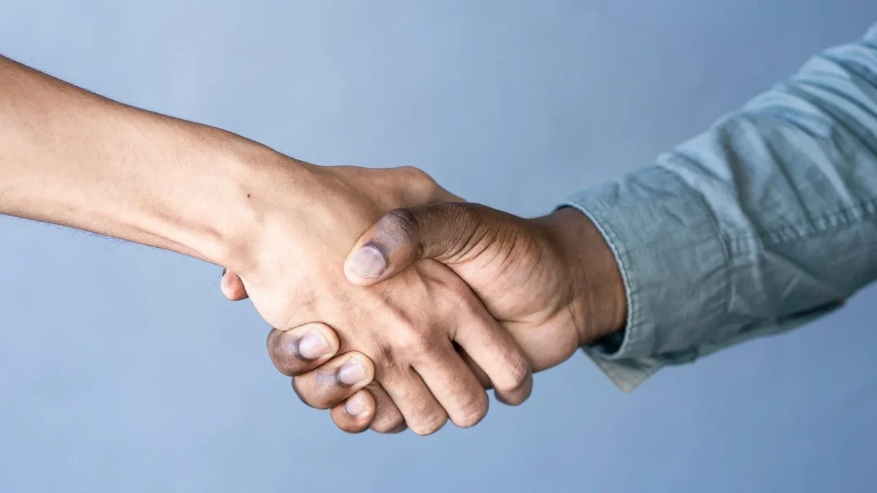 Handshake Polite Gesture