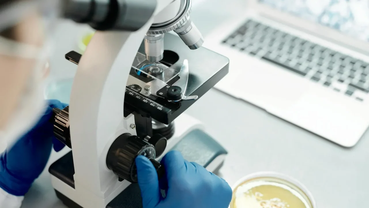 Laboratory Food Science