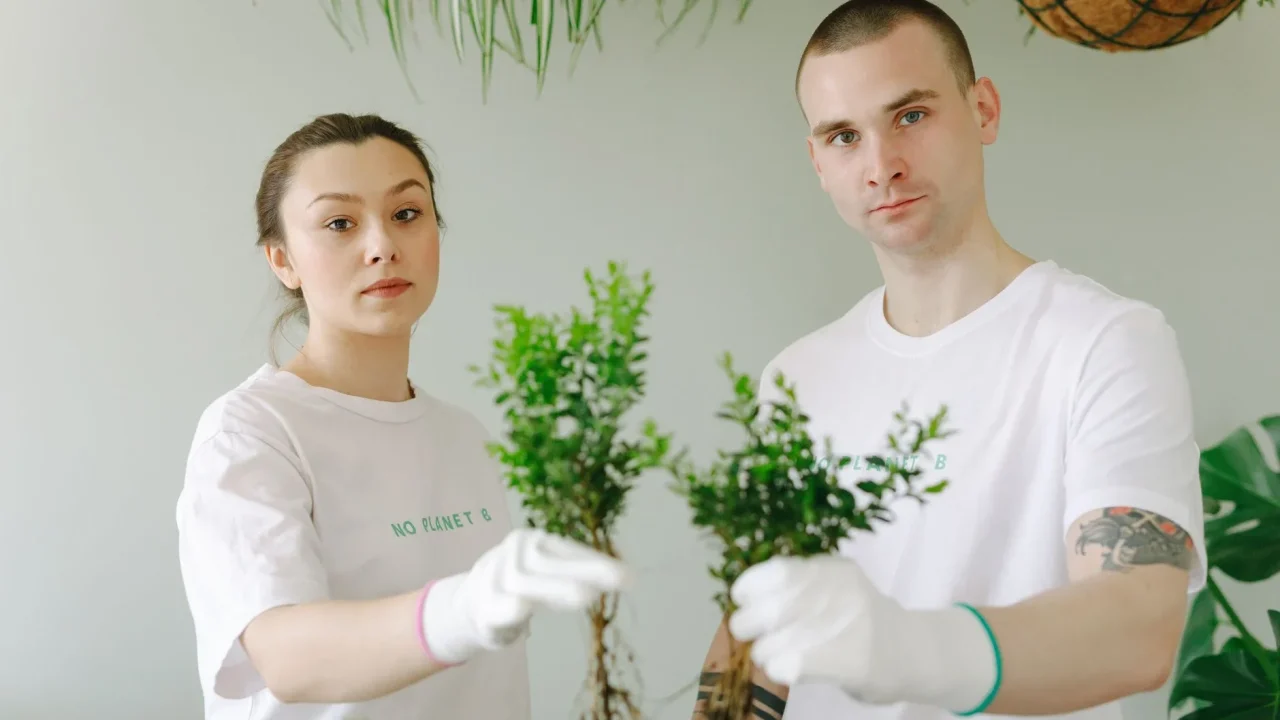 Sustainability Teamwork