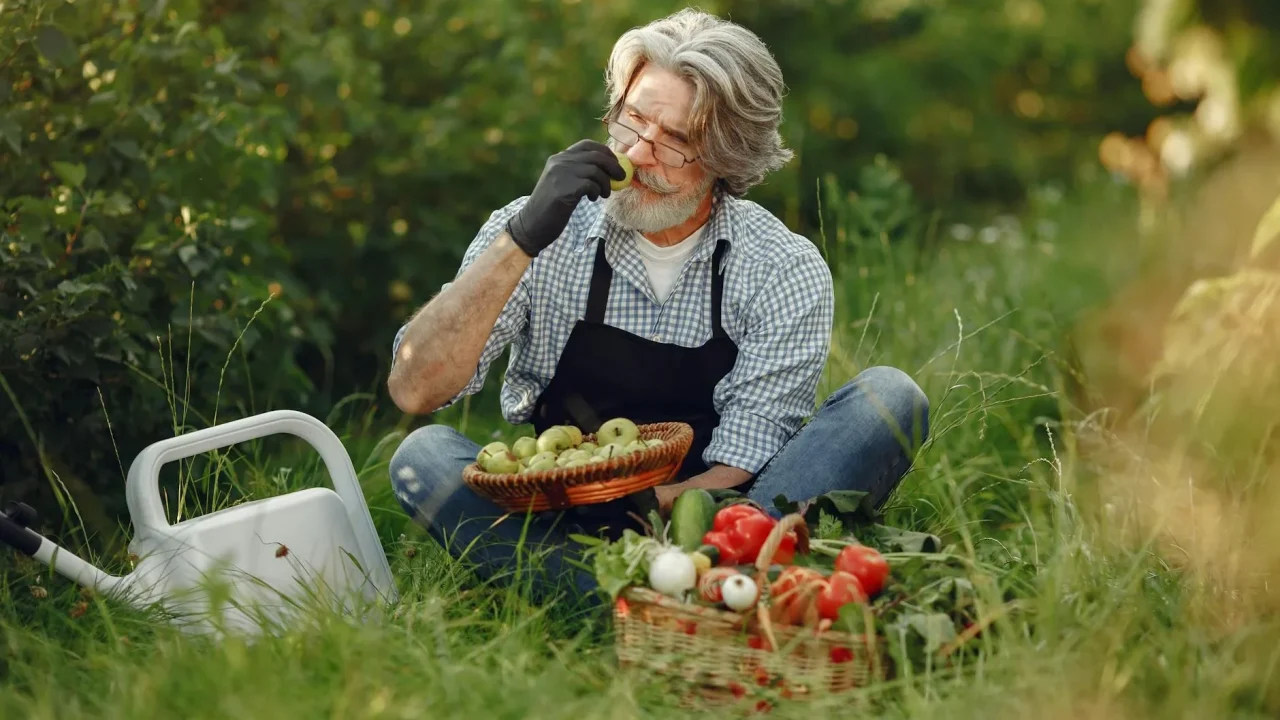 Vegetable Garden Healthy Lifestyle