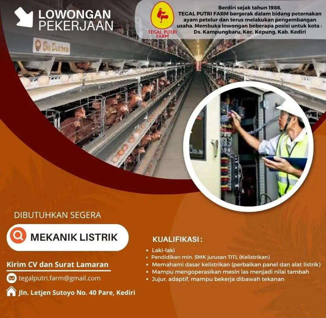 Poster lowongan Mekanik Listrik Tegal Putri Farm Kediri 2026